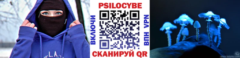 KRAKEN ONION  Заозёрск  Галлюциногенные грибы Psilocybe 